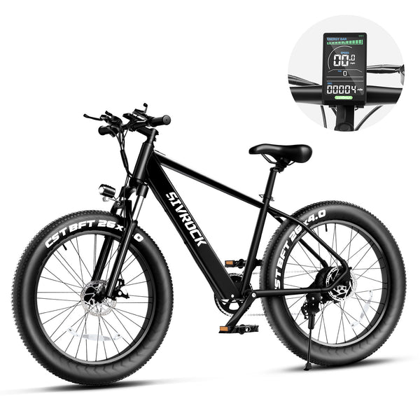 Professional Electric Bike, 26 X 4.0 Inches Fat Tire Electric Mountain Bicycle, 1000W Motor 48V 15Ah Ebike