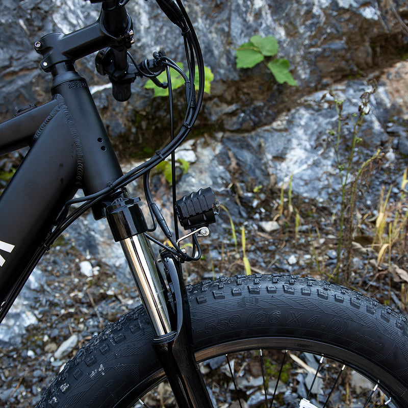 Professional Electric Bike, 26 X 4.0 Inches Fat Tire Electric Mountain Bicycle, 1000W Motor 48V 15Ah Ebike