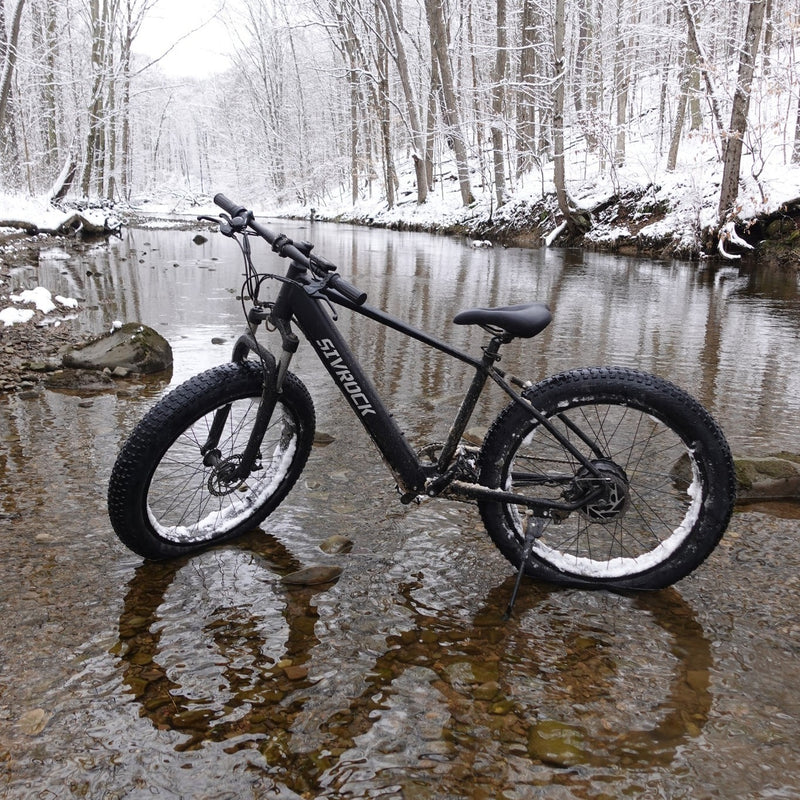 Professional Electric Bike, 26 X 4.0 Inches Fat Tire Electric Mountain Bicycle, 1000W Motor 48V 15Ah Ebike