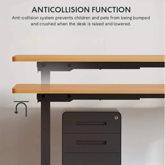 Electric Standing Desk Whole Piece Adjustable Height Desk Home Office