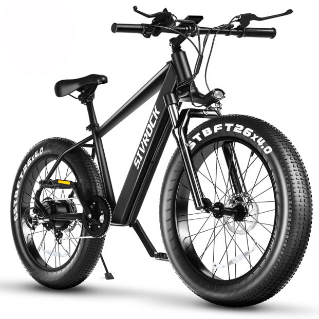 Professional Electric Bike, 26 X 4.0 Inches Fat Tire Electric Mountain Bicycle, 1000W Motor 48V 15Ah Ebike