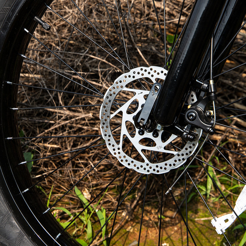Professional Electric Bike, 26 X 4.0 Inches Fat Tire Electric Mountain Bicycle, 1000W Motor 48V 15Ah Ebike