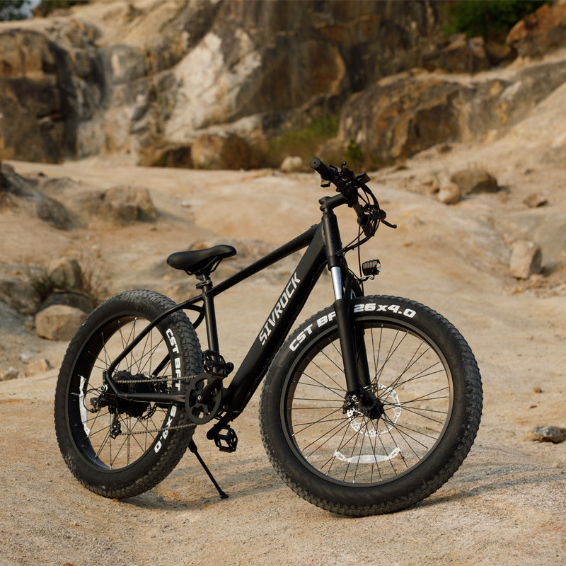 Professional Electric Bike, 26 X 4.0 Inches Fat Tire Electric Mountain Bicycle, 1000W Motor 48V 15Ah Ebike