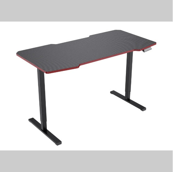 Electric Standing Desk Whole Piece Adjustable Height Desk Home Office