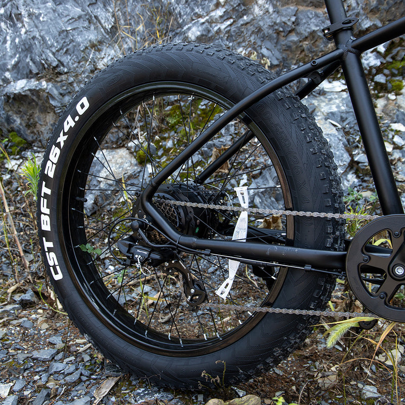 Professional Electric Bike, 26 X 4.0 Inches Fat Tire Electric Mountain Bicycle, 1000W Motor 48V 15Ah Ebike